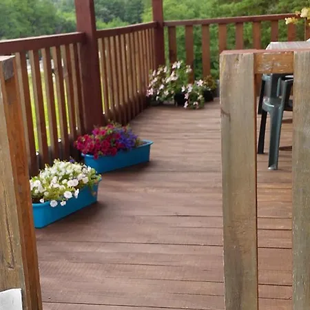 Priedisi Holiday home *